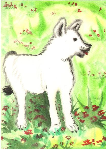 {Title} 6 hirte6.jpg