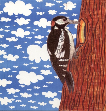 specht-woodpecker.tif