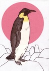 pinguin-penguin.tif