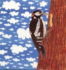 specht-woodpecker.tif